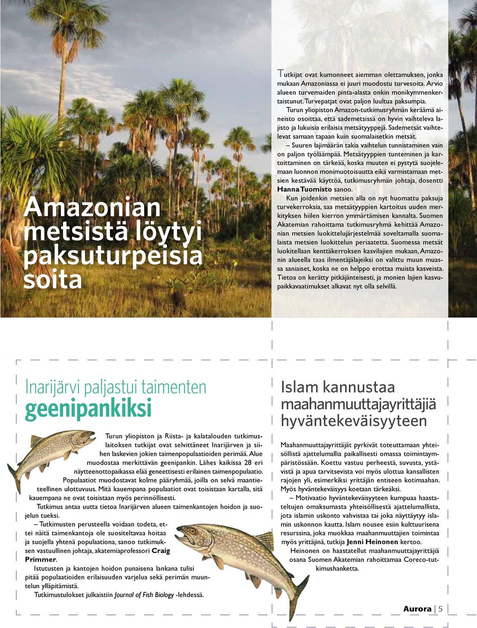 Turun yliopiston Amazon-tutkimusryhmän keräämä aineisto osoittaa, että sademetsissä on hyvin vaihteleva lajisto ja lukuisia erilaisia metsätyyppejä.