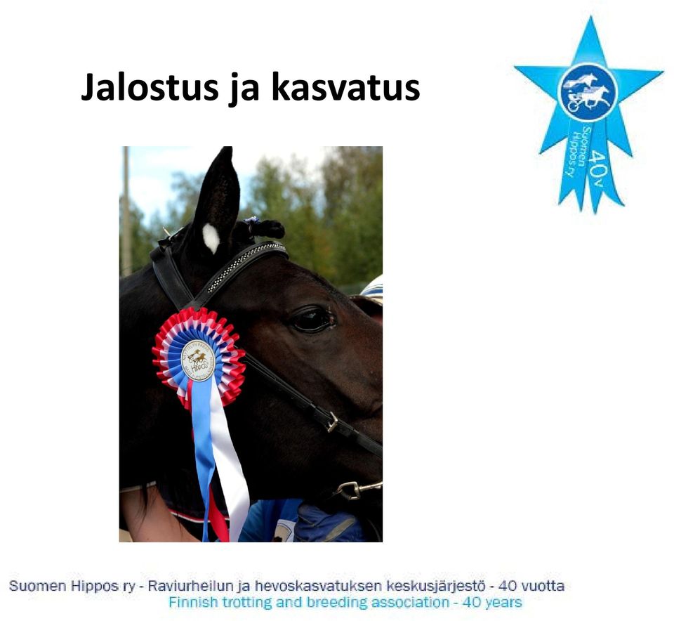 kasvatus