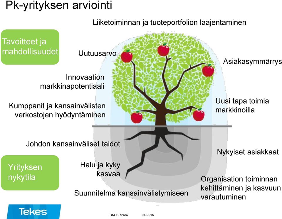 tapa toimia markkinoilla Yrityksen nykytila Johdon kansainväliset taidot Halu ja kyky kasvaa Suunnitelma