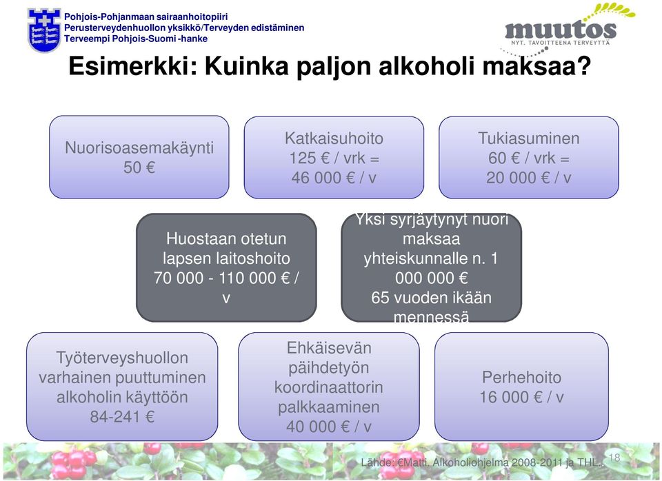 laitoshoito 70 000-110 000 / v Yksi syrjäytynyt nuori maksaa yhteiskunnalle n.