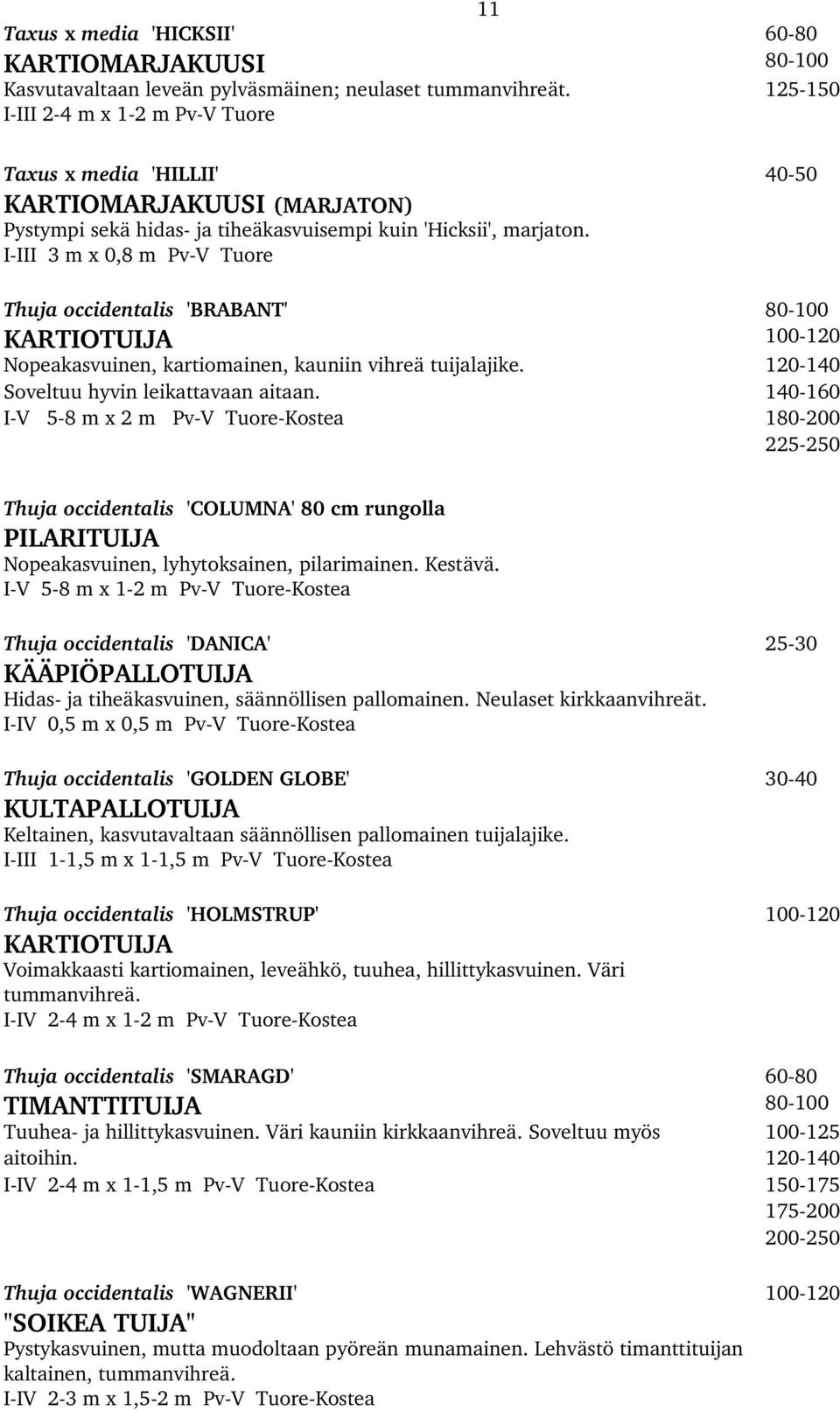 I III 3 m x 0,8 m Pv V Tuore Thuja occidentalis 'BRABANT' 80 100 KARTIOTUIJA 100 120 Nopeakasvuinen, kartiomainen, kauniin vihreä tuijalajike. 120 140 Soveltuu hyvin leikattavaan aitaan.