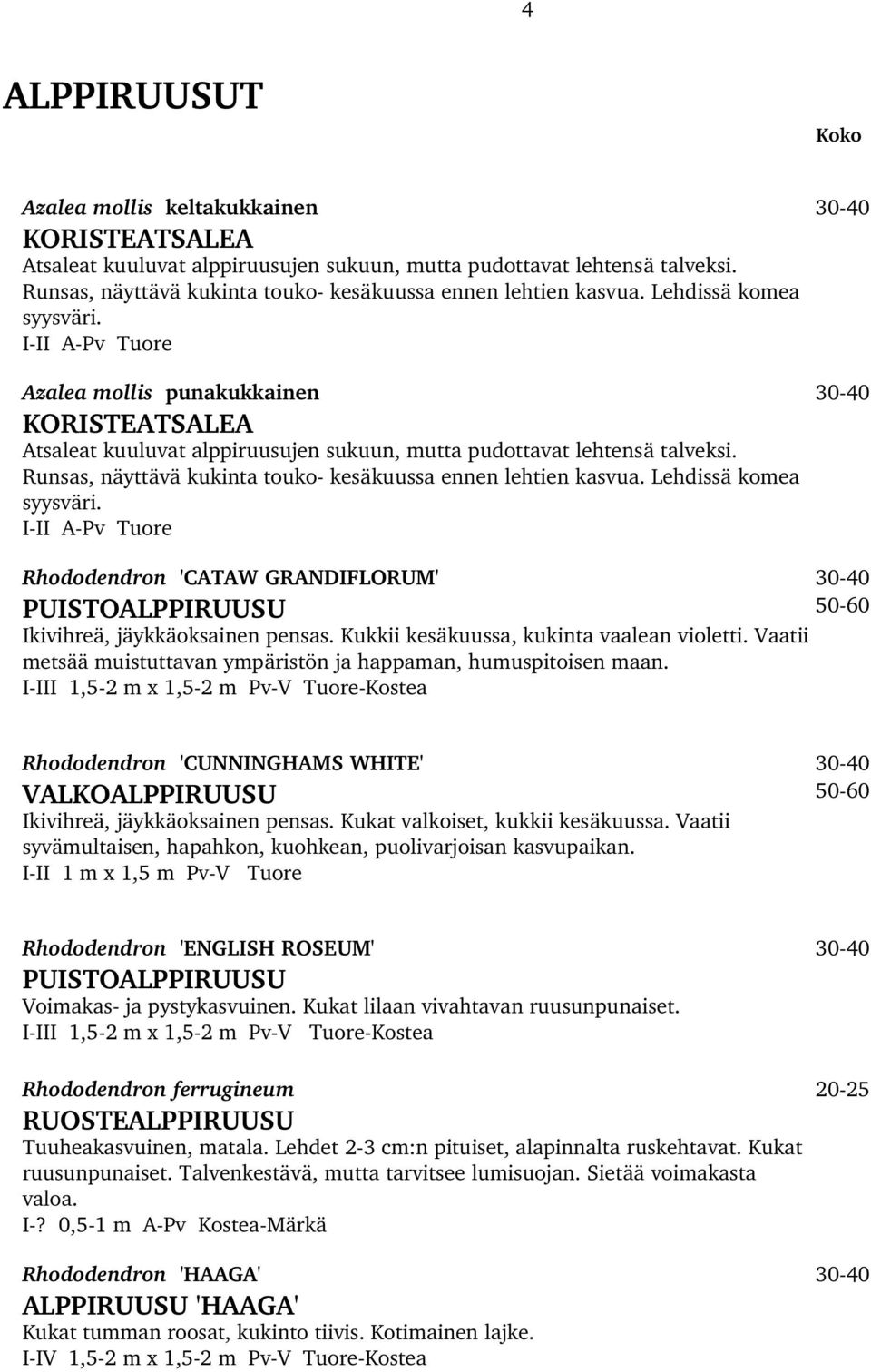 I II A Pv Tuore Azalea mollis punakukkainen 30 40 KORISTEATSALEA Atsaleat kuuluvat alppiruusujen sukuun, mutta pudottavat lehtensä talveksi.