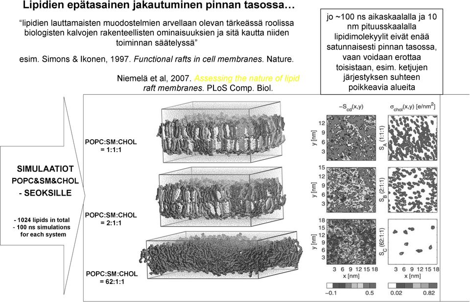 PLoS Comp. Biol. jo ~100 ns aikaskaalalla ja 10 nm pituusskaalalla lipidimolekyylit eivät enää satunnaisesti pinnan tasossa, vaan voidaan erottaa toisistaan, esim.