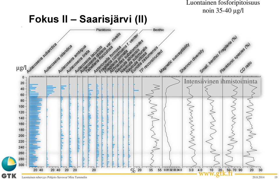 venter Fragilaria pinnata Achnantes subatomoides Navicula aboensis Navicula submuralis Navicula vitiosa Eunotia zasumensis TP reconstructed % 20 Benthic 35 55 Magnetic