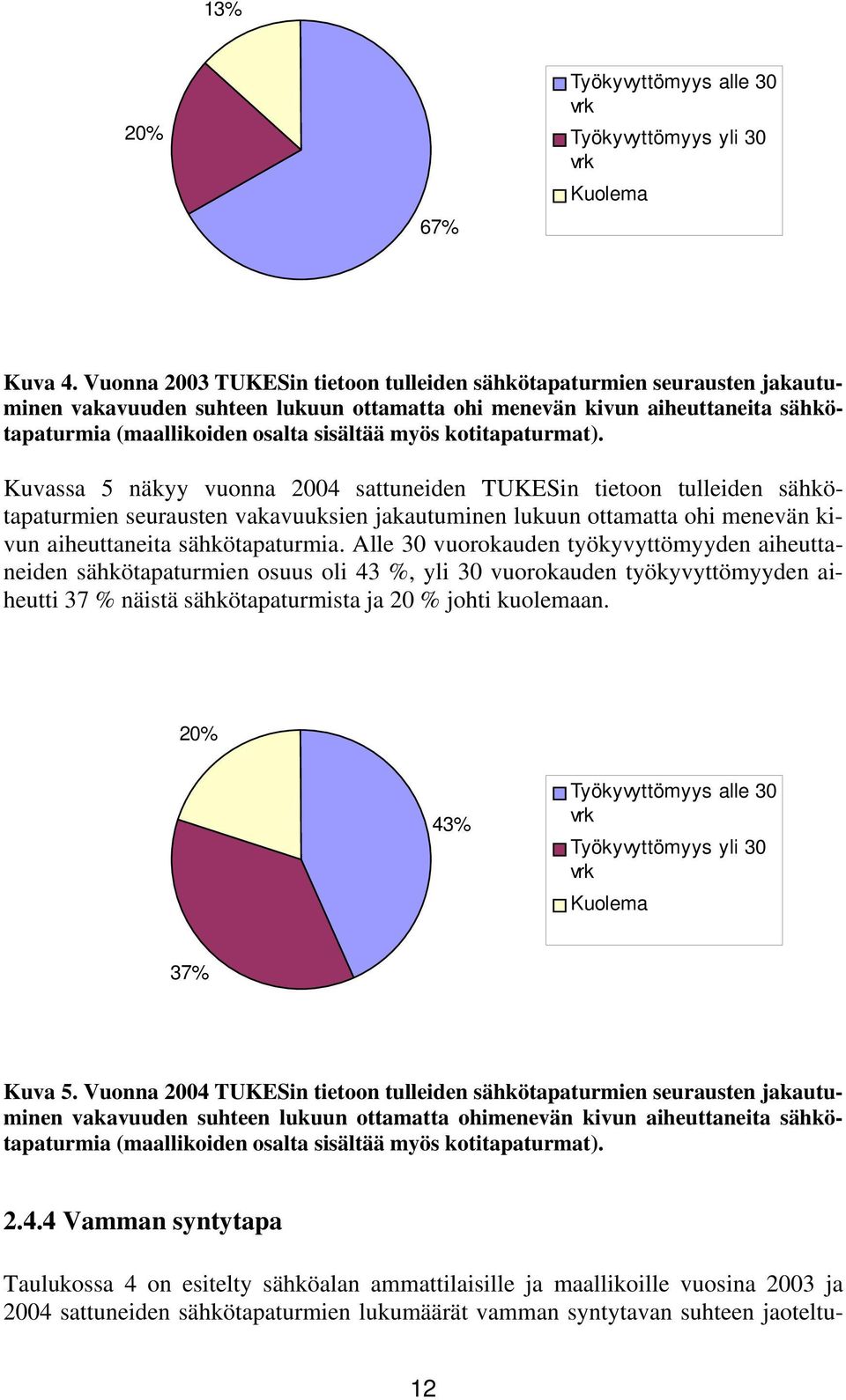 kotitapaturmat).