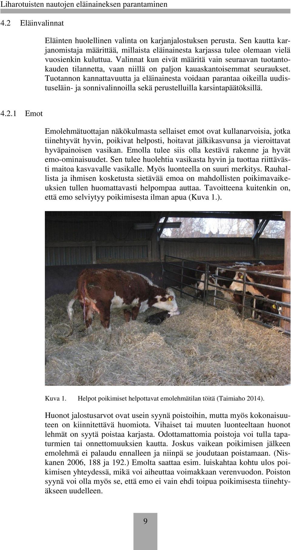Tuotannon kannattavuutta ja eläinainesta voidaan parantaa oikeilla uudistuseläin- ja sonnivalinnoilla sekä perustelluilla karsintapäätöksillä. 4.2.