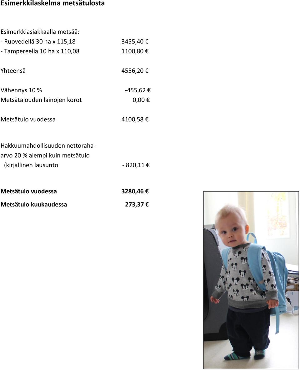 lainojen korot 0,00 Metsätulo vuodessa 4100,58 Hakkuumahdollisuuden nettoraha- arvo 20 % alempi