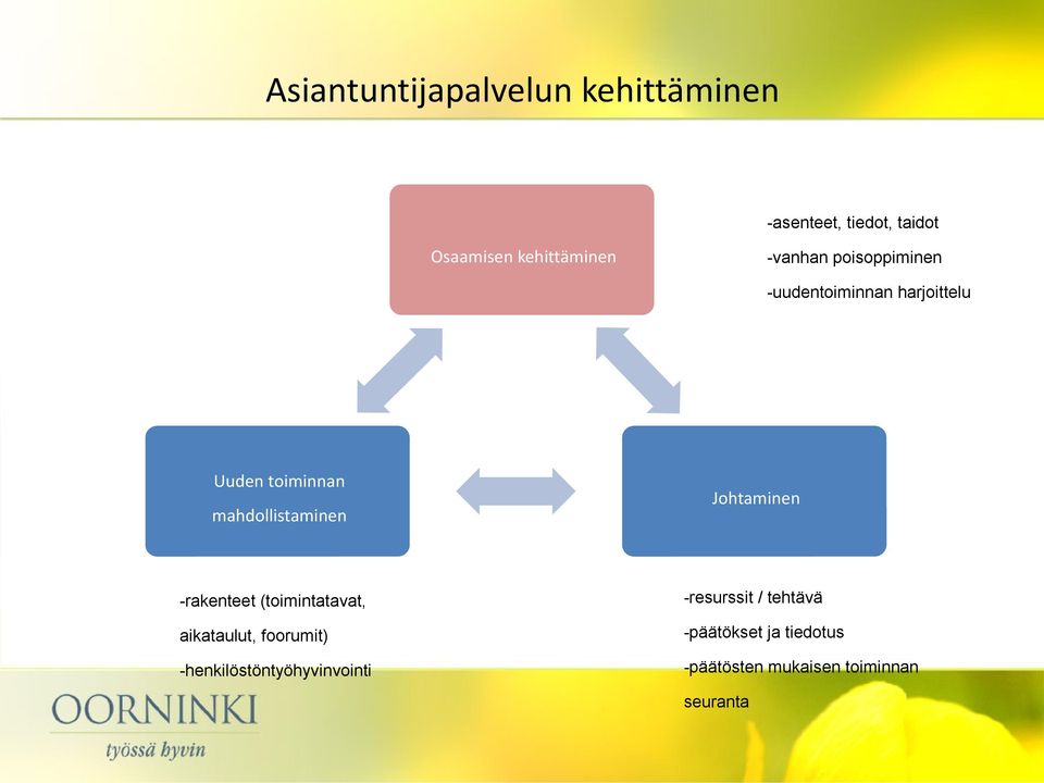 Johtaminen -rakenteet (toimintatavat, aikataulut, foorumit)