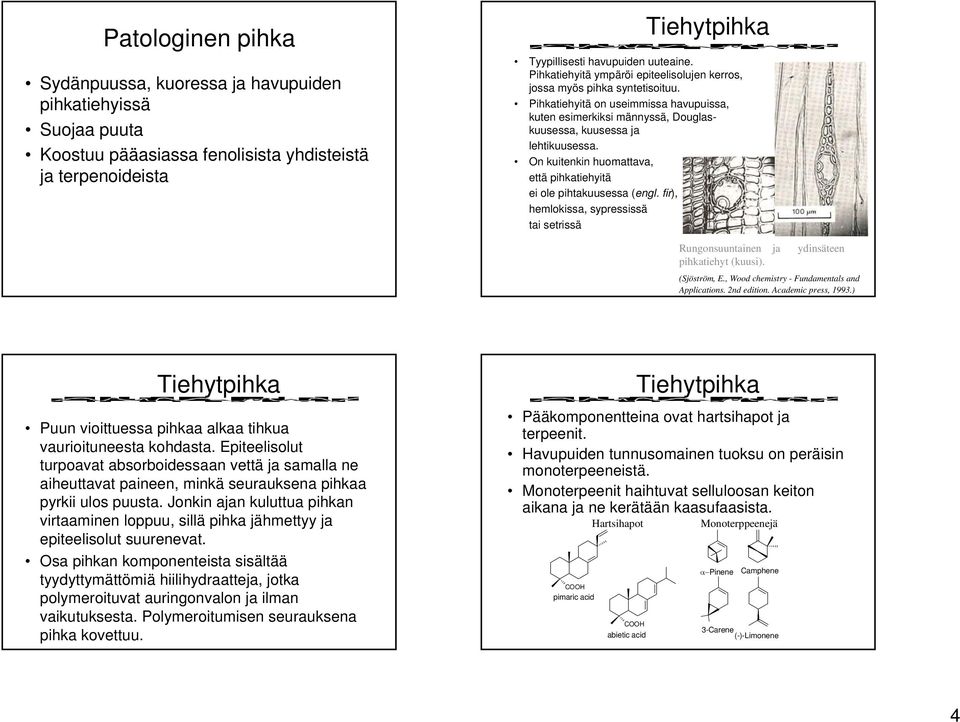 n kuitenkin huomattava, että pihkatiehyitä ei ole pihtakuusessa (engl. fir), hemlokissa, sypressissä tai setrissä Rungonsuuntainen ja ydinsäteen pihkatiehyt (kuusi). (Sjöström, E.