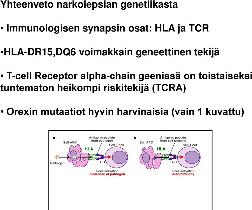 Receptor alpha-chain geenissä on toistaiseksi tuntematon heikompi