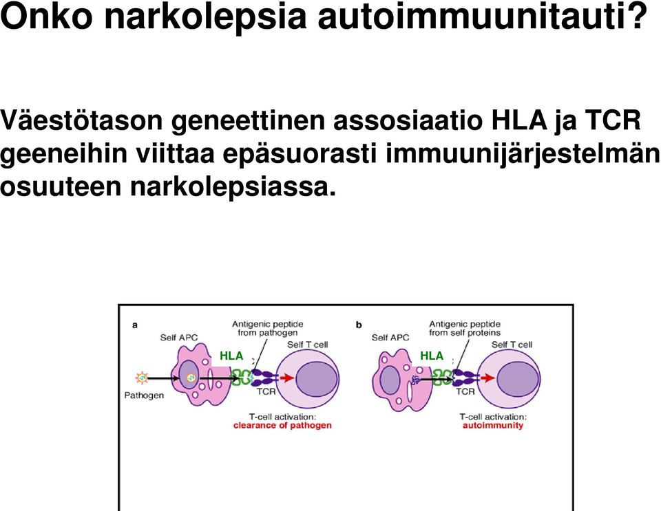 ja TCR geeneihin viittaa epäsuorasti