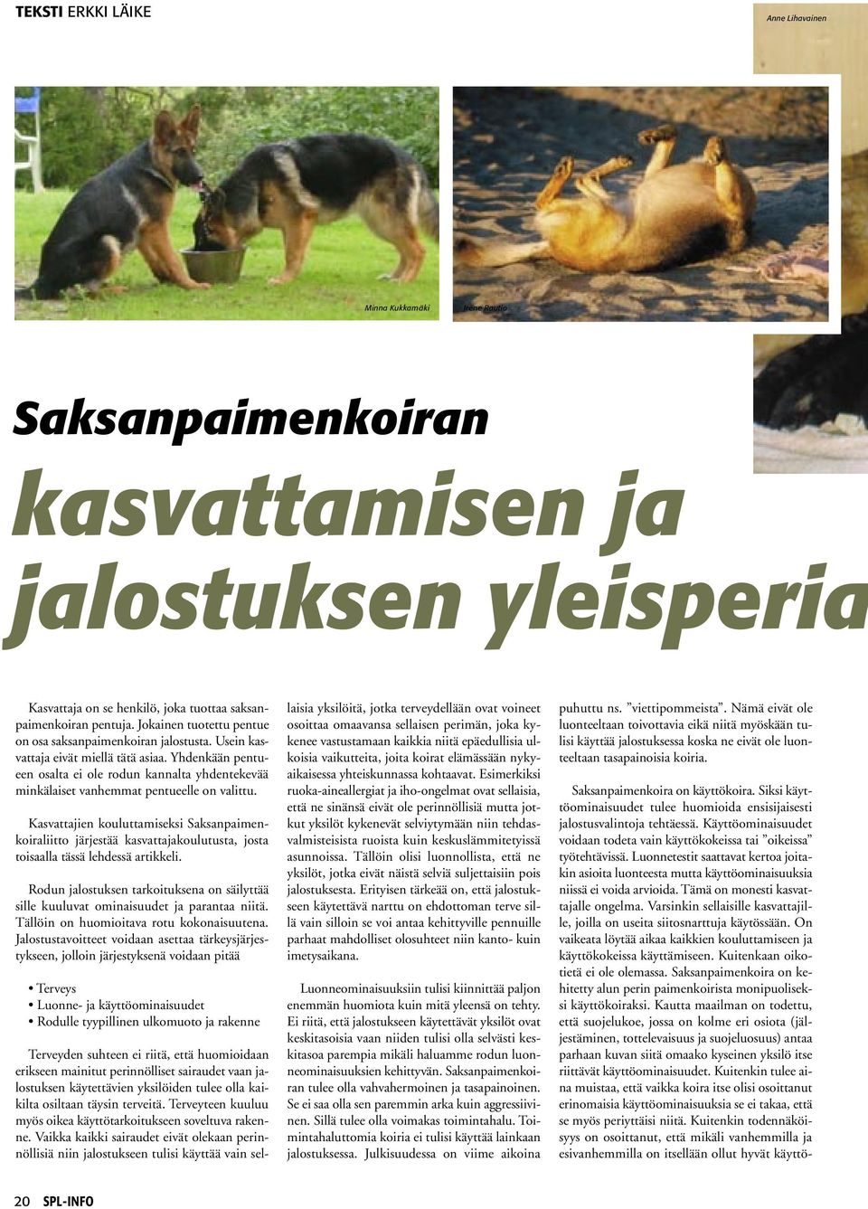 Yhdenkään pentueen osalta ei ole rodun kannalta yhdentekevää minkälaiset vanhemmat pentueelle on valittu.