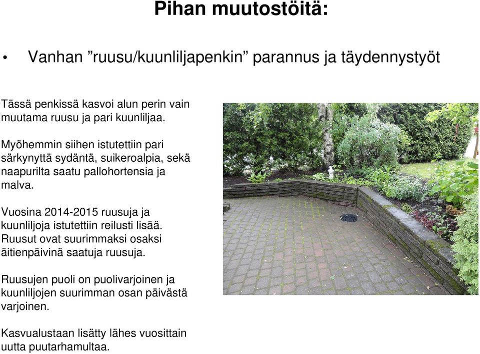 Vuosina 2014-2015 ruusuja ja kuunliljoja istutettiin reilusti lisää. Ruusut ovat suurimmaksi osaksi äitienpäivinä saatuja ruusuja.