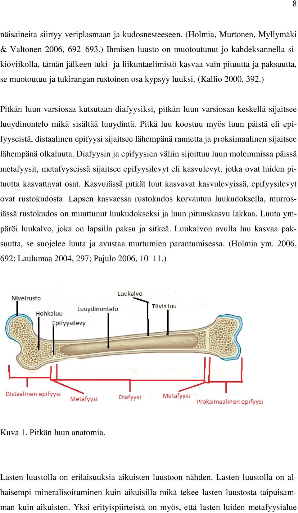 (Kallio 2000, 392.) Pitkän luun varsiosaa kutsutaan diafyysiksi, pitkän luun varsiosan keskellä sijaitsee luuydinontelo mikä sisältää luuydintä.