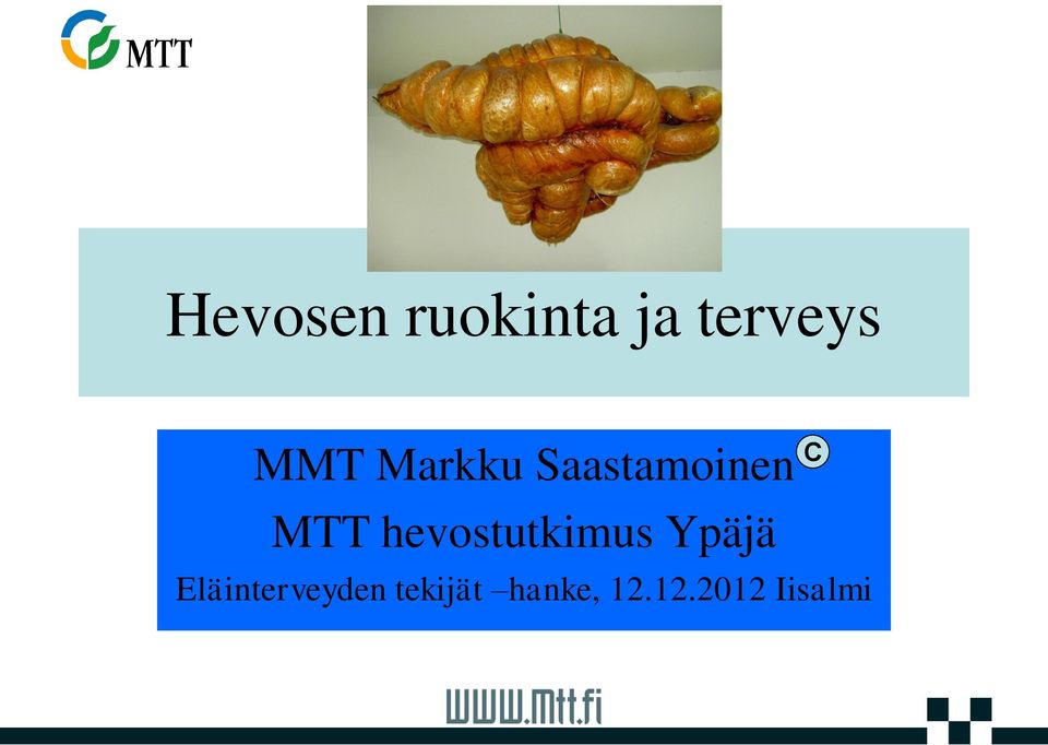 hevostutkimus Ypäjä