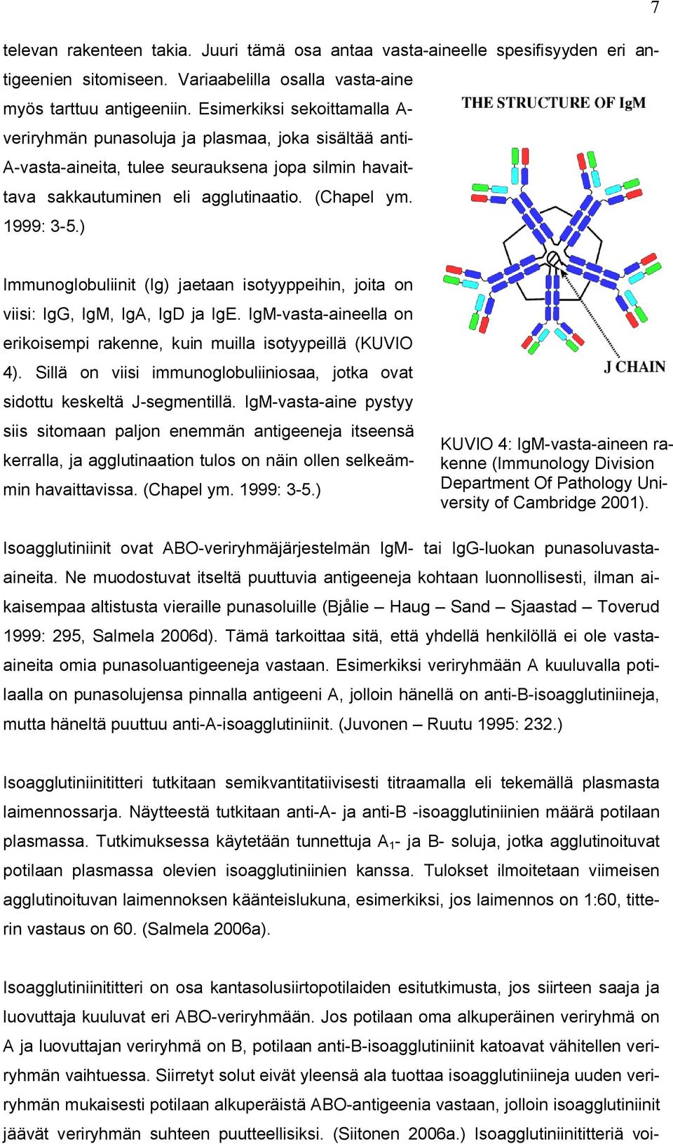 ) Immunoglobuliinit (Ig) jaetaan isotyyppeihin, joita on viisi: IgG, IgM, IgA, IgD ja IgE. IgM-vasta-aineella on erikoisempi rakenne, kuin muilla isotyypeillä (KUVIO 4).