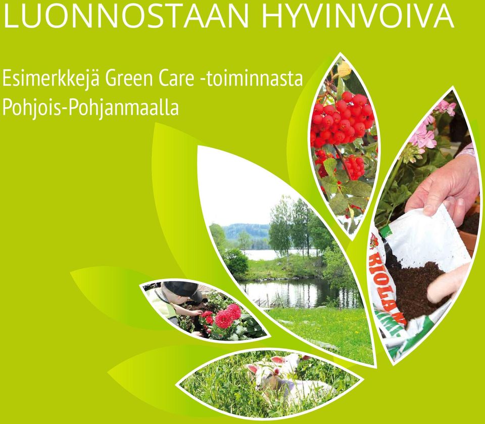 Esimerkkejä Green