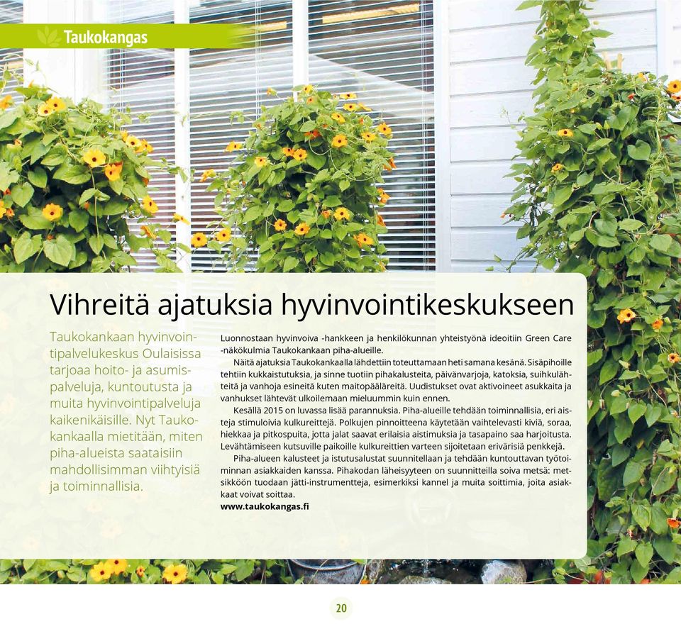 Luonnostaan hyvinvoiva -hankkeen ja henkilökunnan yhteistyönä ideoitiin Green Care -näkökulmia Taukokankaan piha-alueille. Näitä ajatuksia Taukokankaalla lähdettiin toteuttamaan heti samana kesänä.