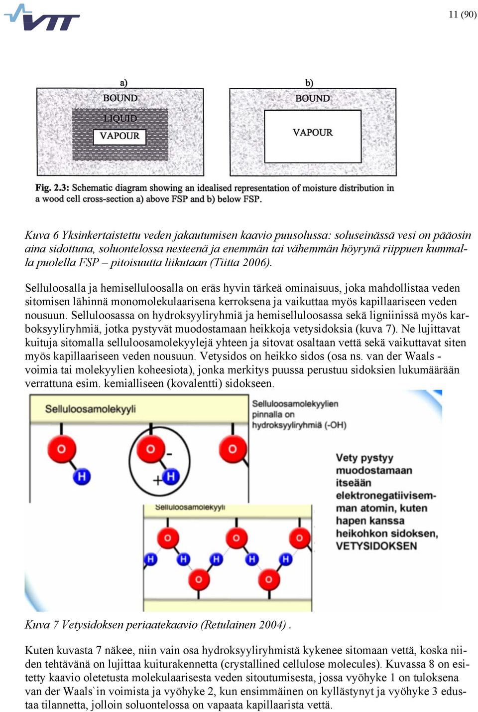 Selluloosalla ja hemiselluloosalla on eräs hyvin tärkeä ominaisuus, joka mahdollistaa veden sitomisen lähinnä monomolekulaarisena kerroksena ja vaikuttaa myös kapillaariseen veden nousuun.