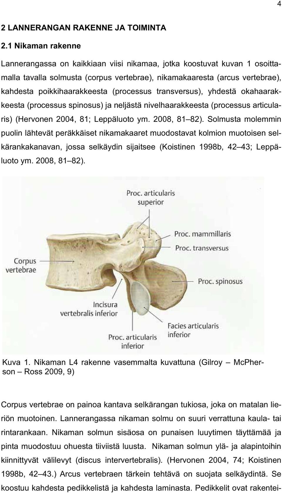 (processus transversus), yhdestä okahaarakkeesta (processus spinosus) ja neljästä nivelhaarakkeesta (processus articularis) (Hervonen 2004, 81; Leppäluoto ym. 2008, 81 82).