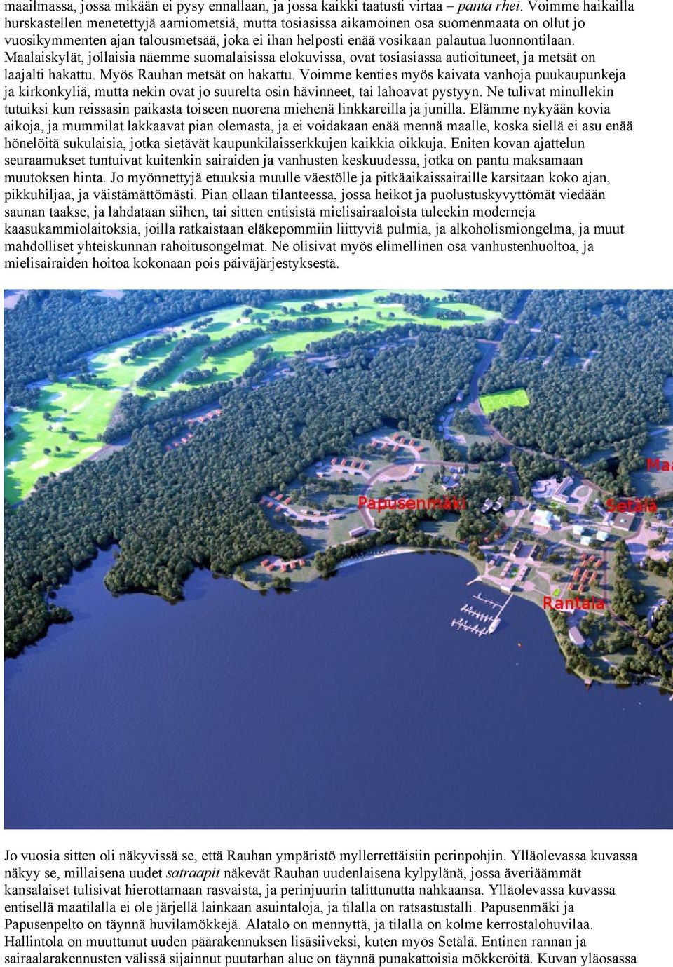 luonnontilaan. Maalaiskylät, jollaisia näemme suomalaisissa elokuvissa, ovat tosiasiassa autioituneet, ja metsät on laajalti hakattu. Myös Rauhan metsät on hakattu.