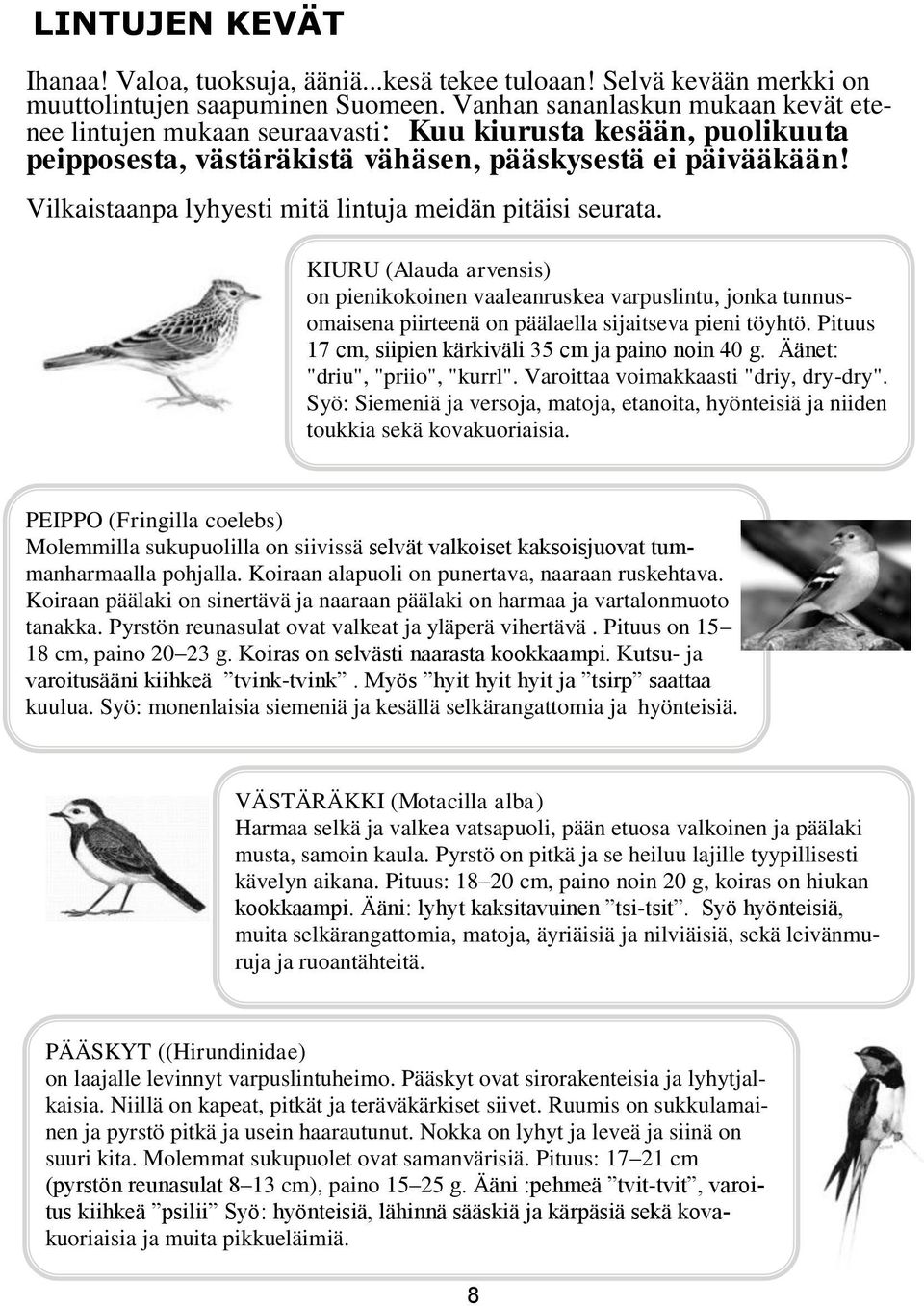 Vilkaistaanpa lyhyesti mitä lintuja meidän pitäisi seurata. KIURU (Alauda arvensis) on pienikokoinen vaaleanruskea varpuslintu, jonka tunnusomaisena piirteenä on päälaella sijaitseva pieni töyhtö.