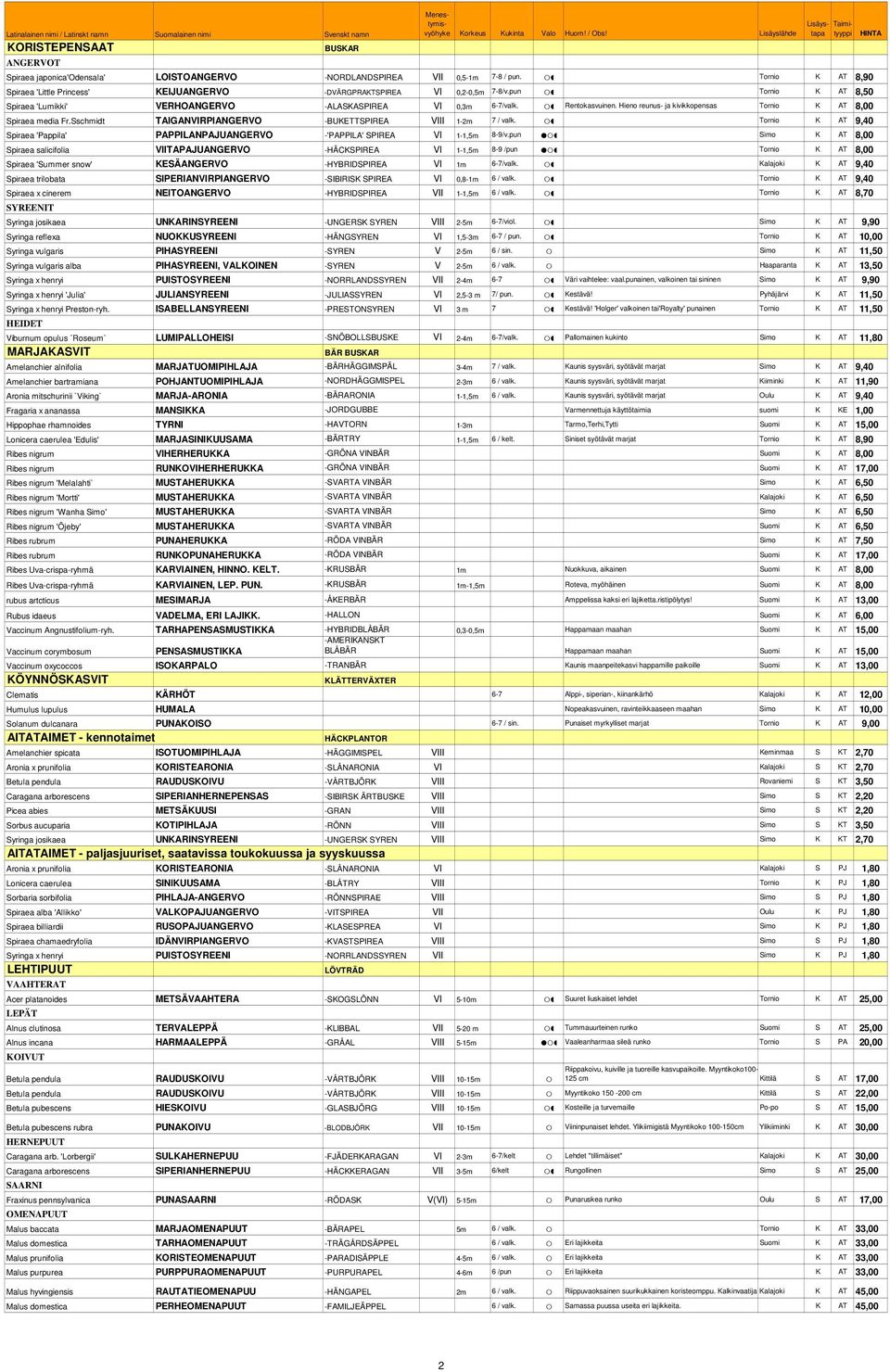 Hieno reunus- ja kivikkopensas Tornio K AT 8,00 Spiraea media Fr.Sschmidt TAIGANVIRPIANGERVO -BUKETTSPIREA VIII 1-2m 7 / valk.