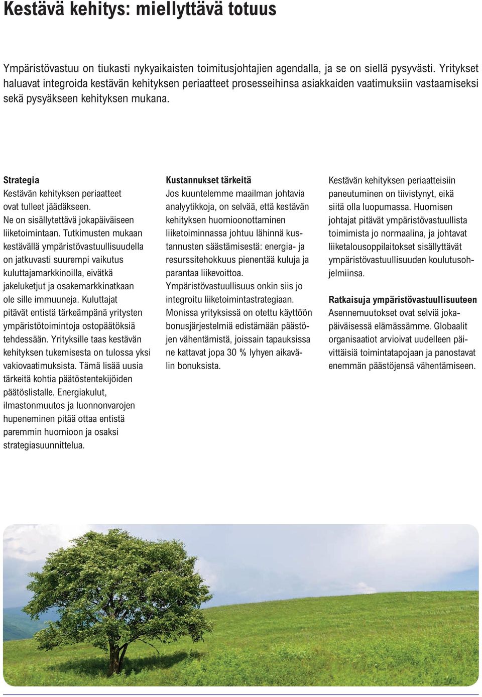 Strategia Kestävän kehityksen periaatteet ovat tulleet jäädäkseen. Ne on sisällytettävä jokapäiväiseen liiketoimintaan.