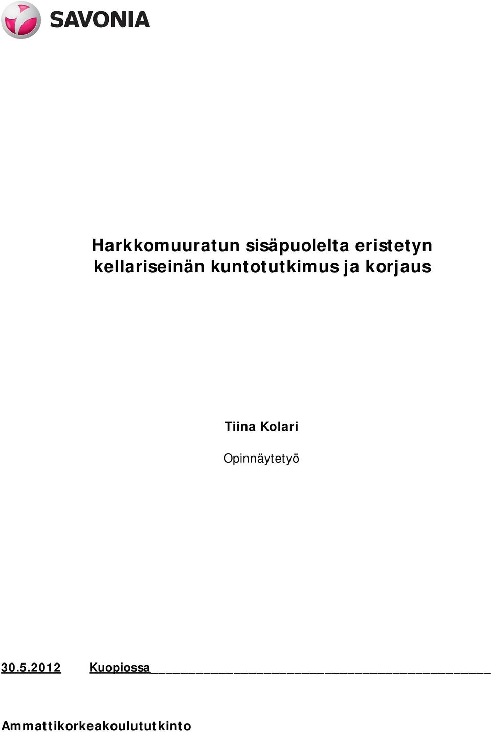 korjaus Tiina Kolari Opinnäytetyö 30.