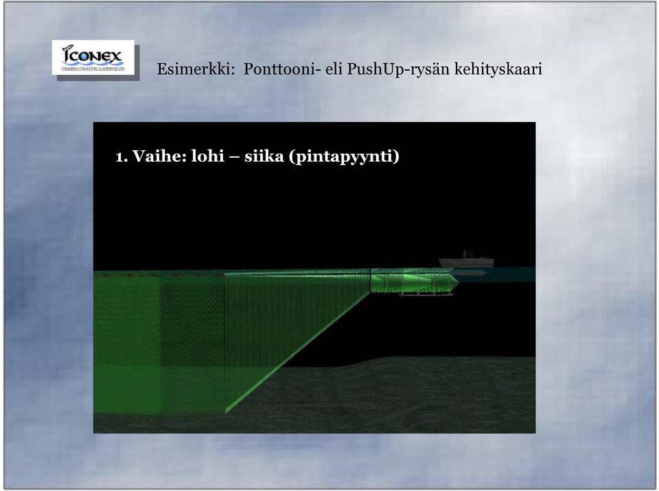 kehityskaari 1.