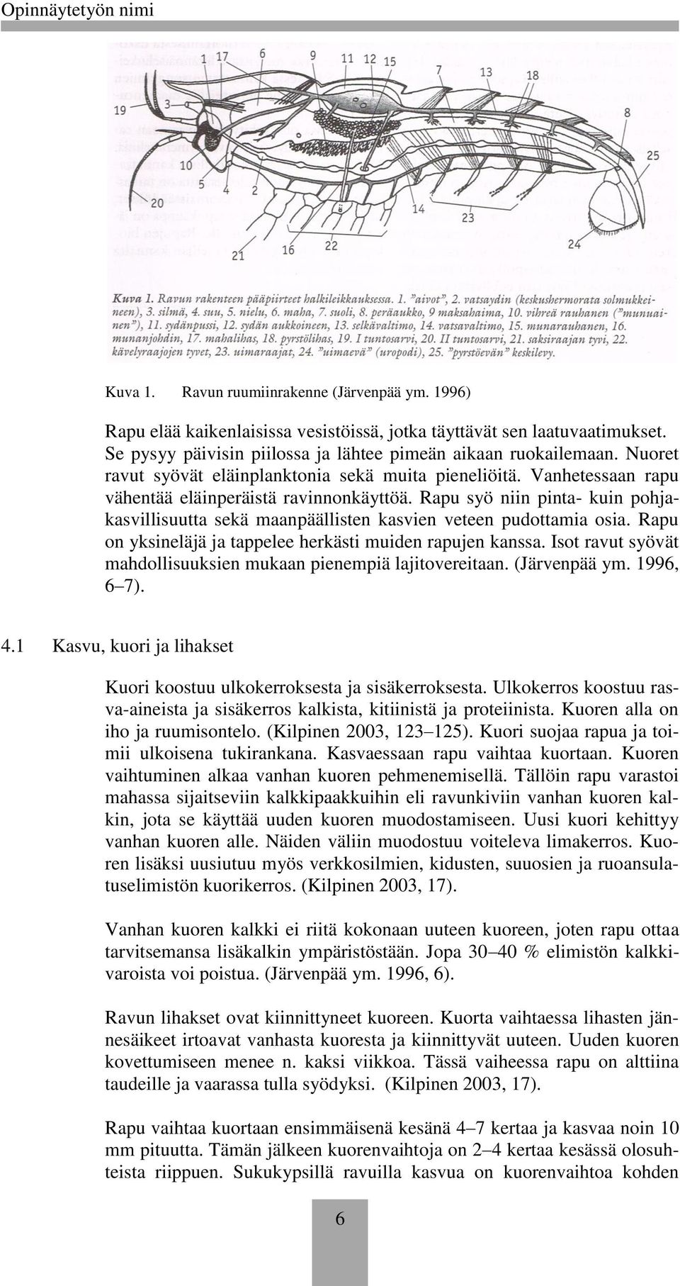 Rapu syö niin pinta- kuin pohjakasvillisuutta sekä maanpäällisten kasvien veteen pudottamia osia. Rapu on yksineläjä ja tappelee herkästi muiden rapujen kanssa.