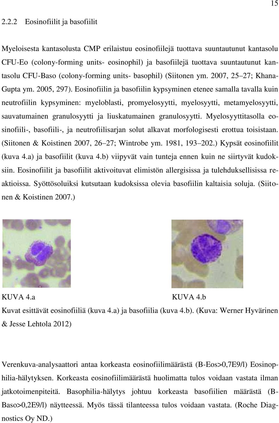 Eosinofiilin ja basofiilin kypsyminen etenee samalla tavalla kuin neutrofiilin kypsyminen: myeloblasti, promyelosyytti, myelosyytti, metamyelosyytti, sauvatumainen granulosyytti ja liuskatumainen