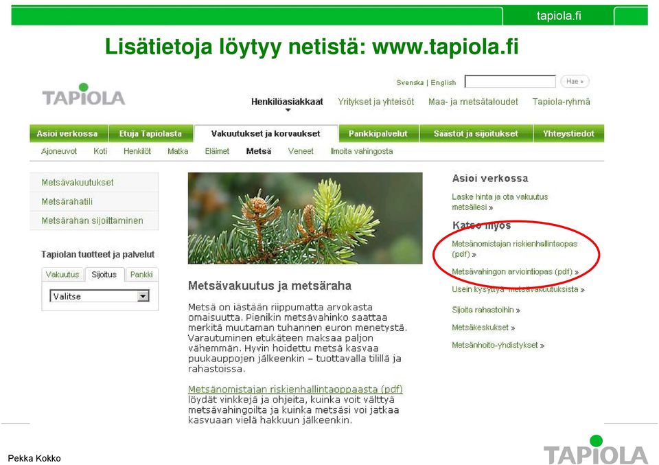 netistä: www.