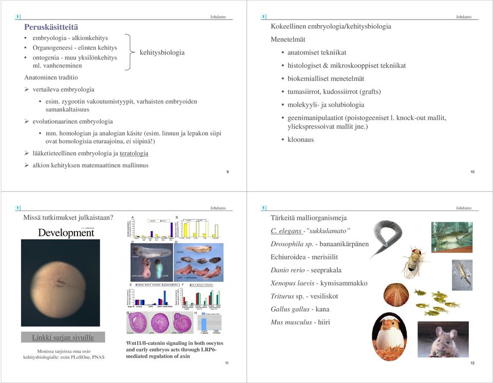 zygootin vakoutumistyypit, varhaisten embryoiden samankaltaisuus evolutionaarinen embryologia mm. homologian ja analogian käsite (esim.