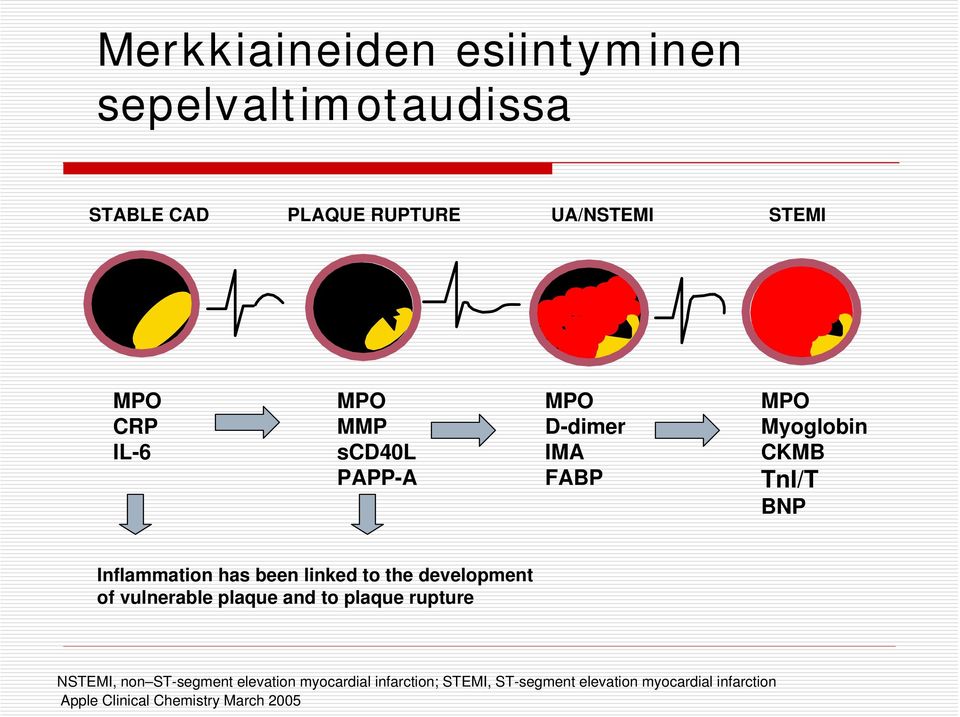 linked to the development of vulnerable plaque and to plaque rupture NSTEMI, non ST-segment elevation