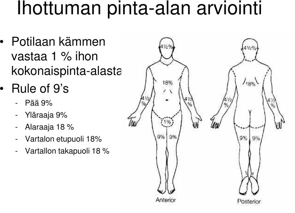 s - Pää 9% - Yläraaja 9% - Alaraaja 18 % -