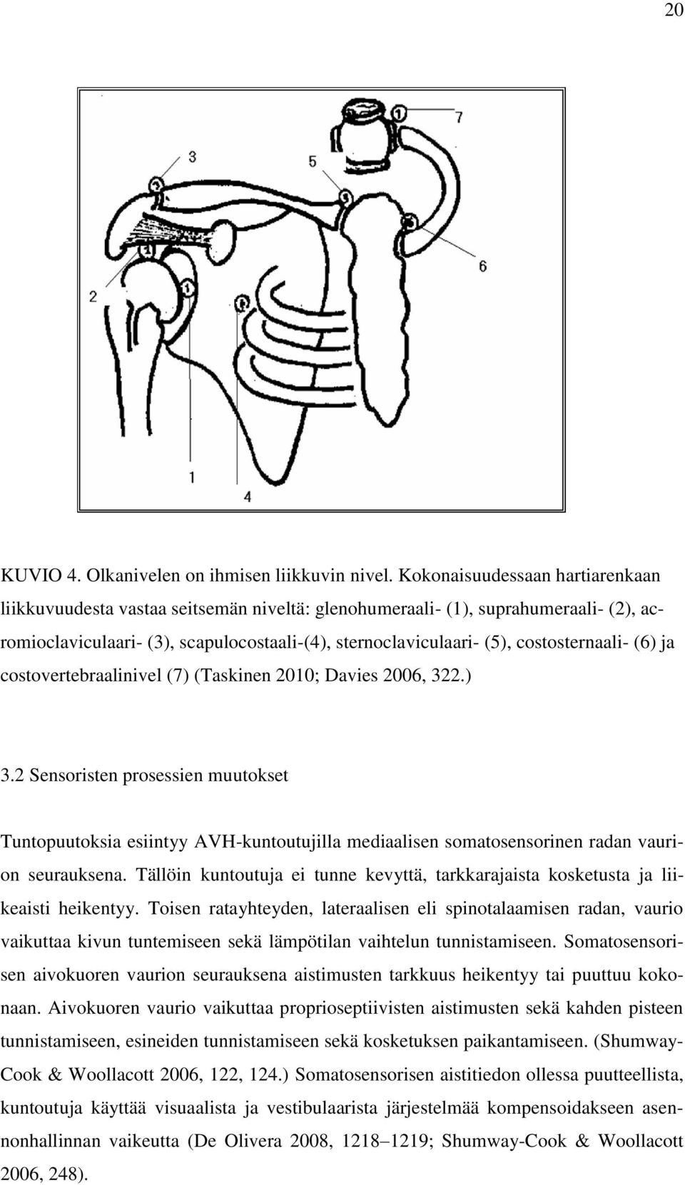 costosternaali- (6) ja costovertebraalinivel (7) (Taskinen 2010; Davies 2006, 322.) 3.