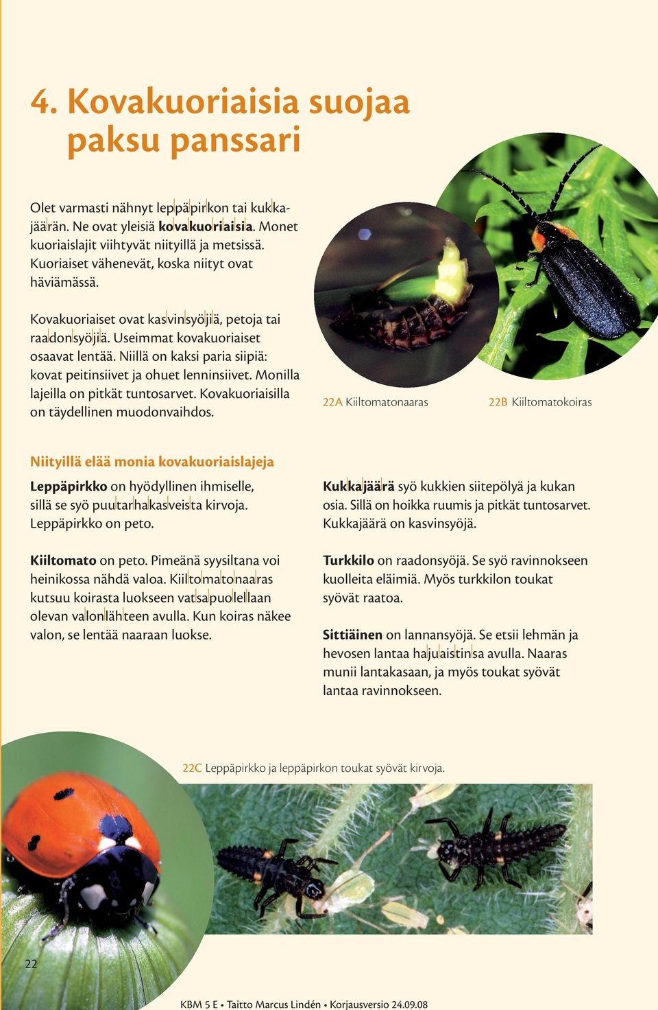 Niillä on kaksi paria siipiä: kovat peitinsiivet ja ohuet lenninsiivet. Monilla lajeilla on pitkät tuntosarvet. Kovakuoriaisilla on täydellinen muodonvaihdos.