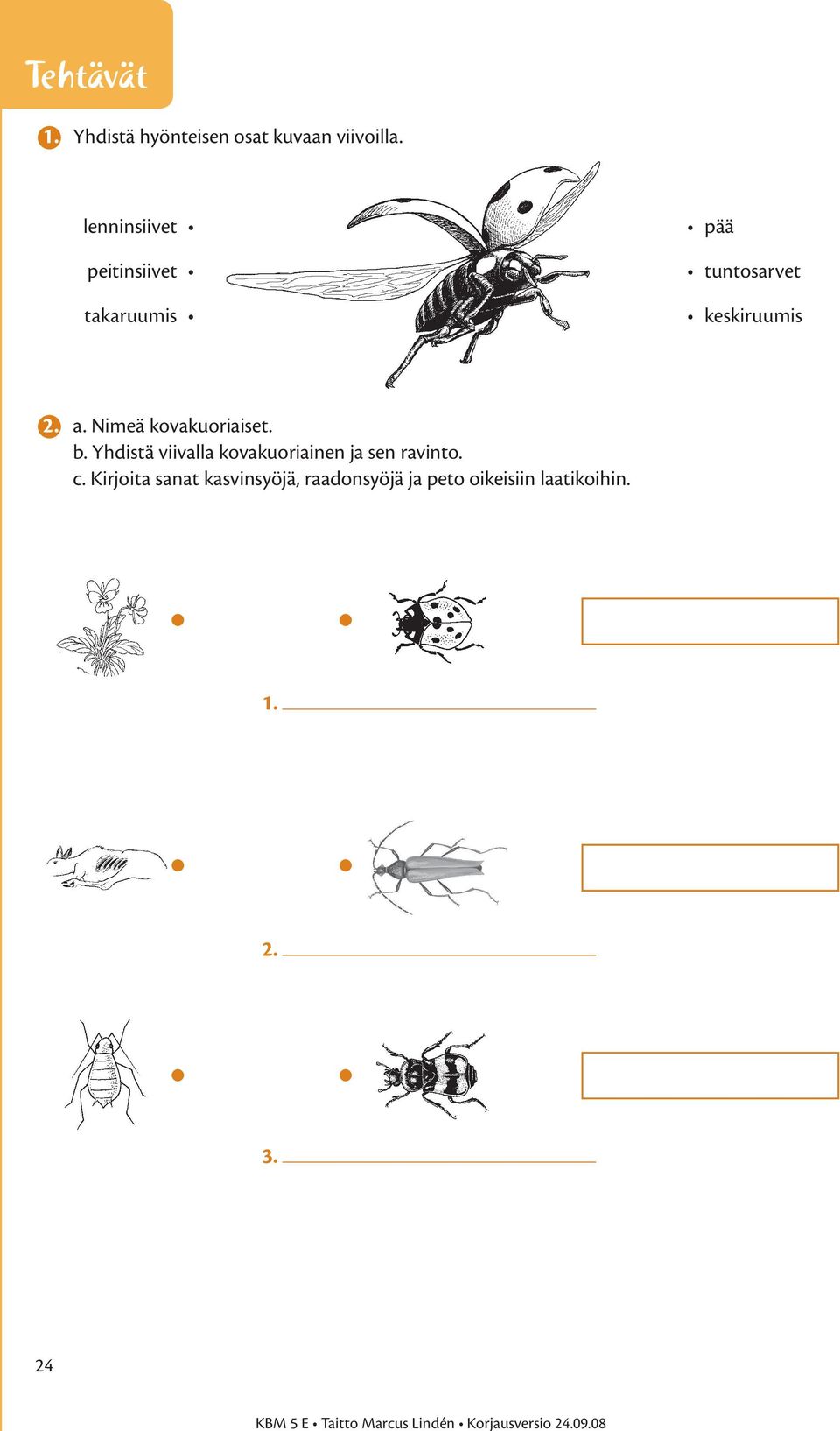 a. Nimeä kovakuoriaiset. b.