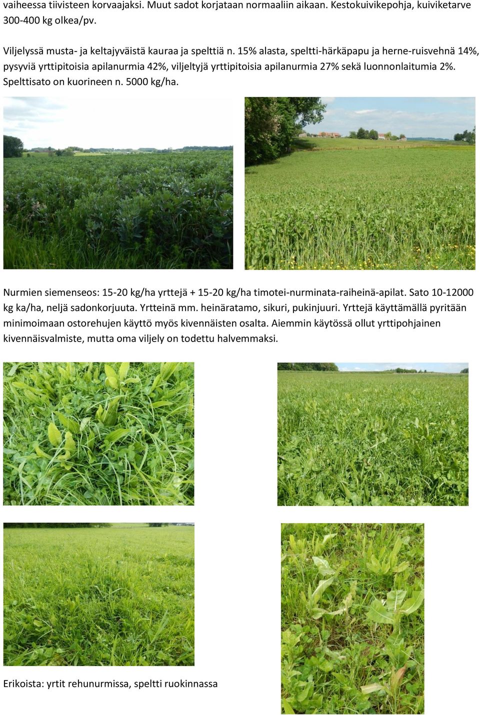 Nurmien siemenseos: 15-20 kg/ha yrttejä + 15-20 kg/ha timotei-nurminata-raiheinä-apilat. Sato 10-12000 kg ka/ha, neljä sadonkorjuuta. Yrtteinä mm. heinäratamo, sikuri, pukinjuuri.