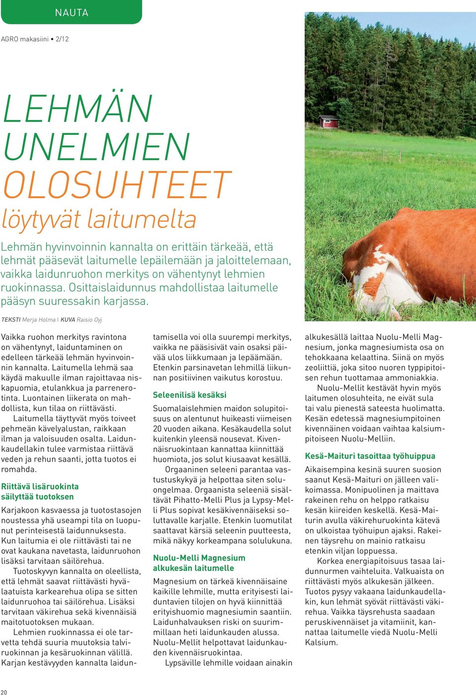 TEKSTI Merja Holma I KUVA Raisio Oyj Vaikka ruohon merkitys ravintona on vähentynyt, laiduntaminen on edelleen tärkeää lehmän hyvinvoinnin kannalta.