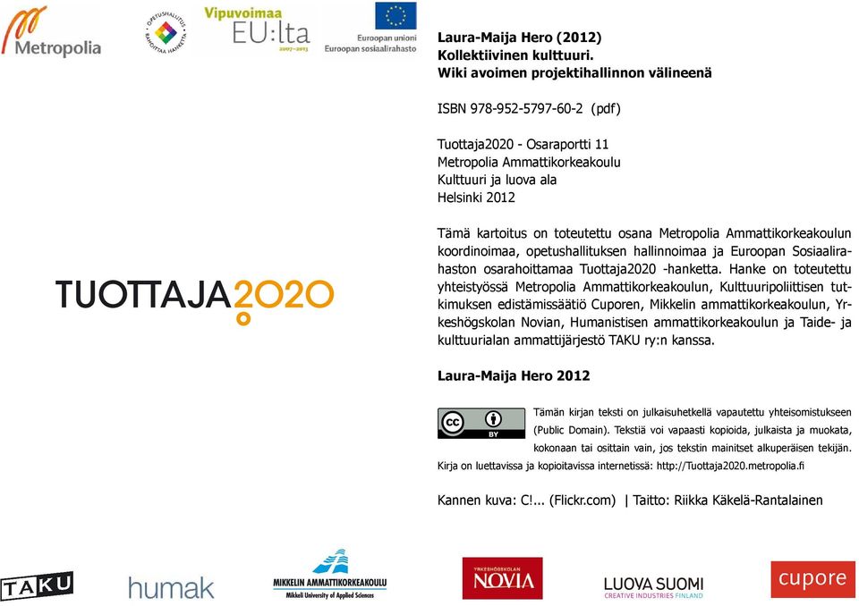 osana Metropolia Ammattikorkeakoulun koordinoimaa, opetushallituksen hallinnoimaa ja Euroopan Sosiaalirahaston osarahoittamaa Tuottaja2020 -hanketta.