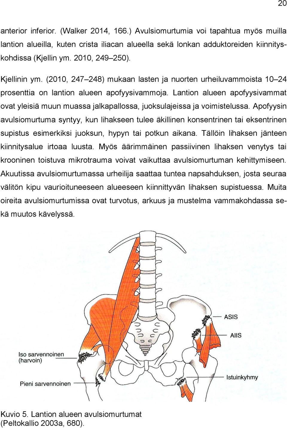 Lantion alueen apofyysivammat ovat yleisiä muun muassa jalkapallossa, juoksulajeissa ja voimistelussa.