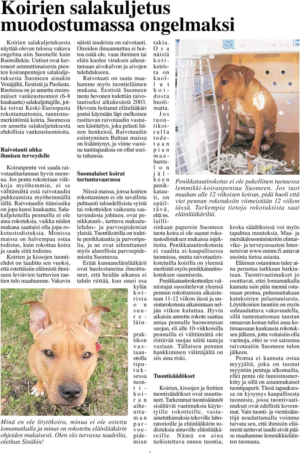 Ruotsissa on jo annettu ensimmäiset vankeustuomiot (6-8 kuukautta) salakuljettajille, jotka toivat Keski-Euroopasta rokottamattomia, tunnistusmerkittömiä koiria.