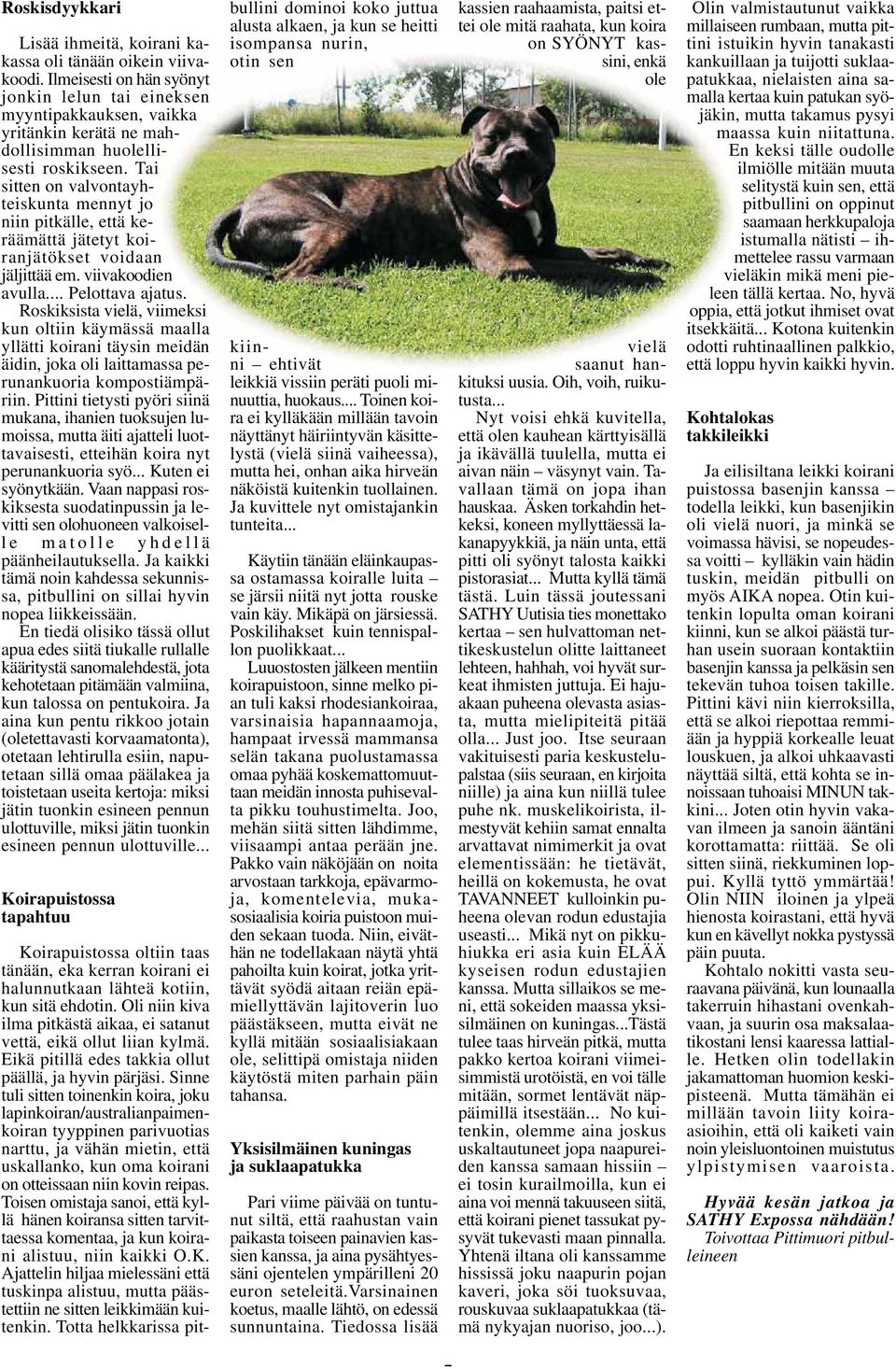 Tai sitten on valvontayhteiskunta mennyt jo niin pitkälle, että keräämättä jätetyt koiranjätökset voidaan jäljittää em. viivakoodien avulla... Pelottava ajatus.