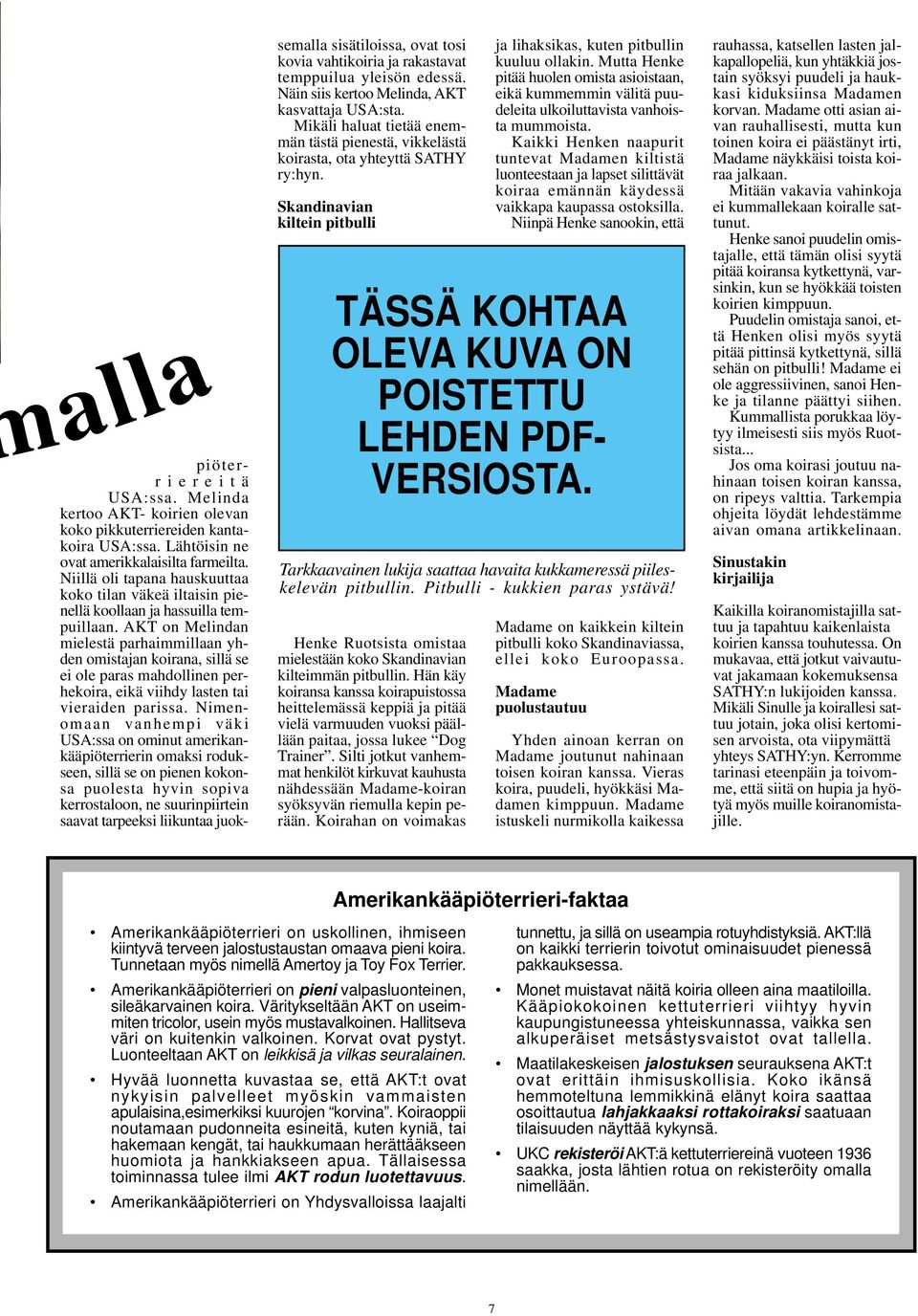 AKT on Melindan mielestä parhaimmillaan yhden omistajan koirana, sillä se ei ole paras mahdollinen perhekoira, eikä viihdy lasten tai vieraiden parissa.