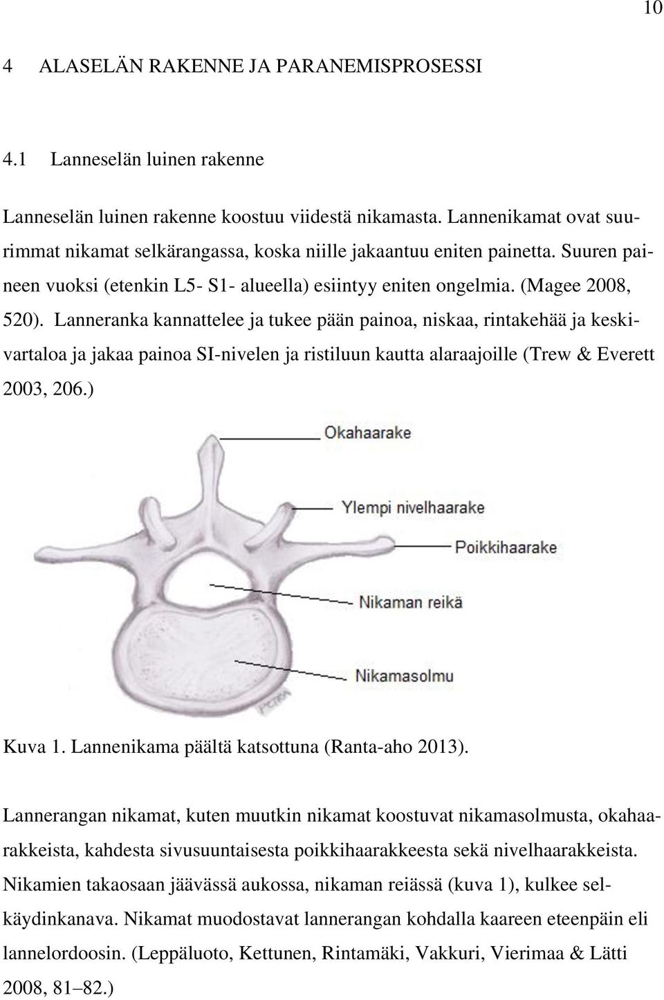 Lanneranka kannattelee ja tukee pään painoa, niskaa, rintakehää ja keskivartaloa ja jakaa painoa SI-nivelen ja ristiluun kautta alaraajoille (Trew & Everett 2003, 206.) Kuva 1.