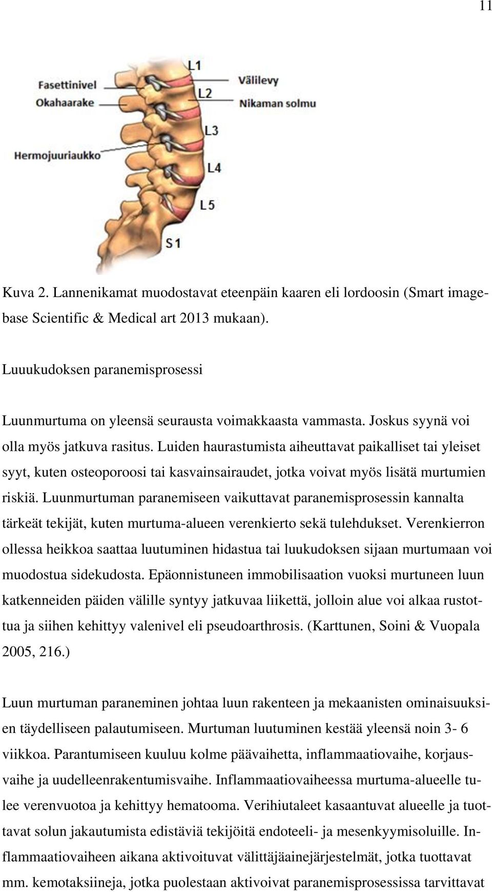 Luiden haurastumista aiheuttavat paikalliset tai yleiset syyt, kuten osteoporoosi tai kasvainsairaudet, jotka voivat myös lisätä murtumien riskiä.