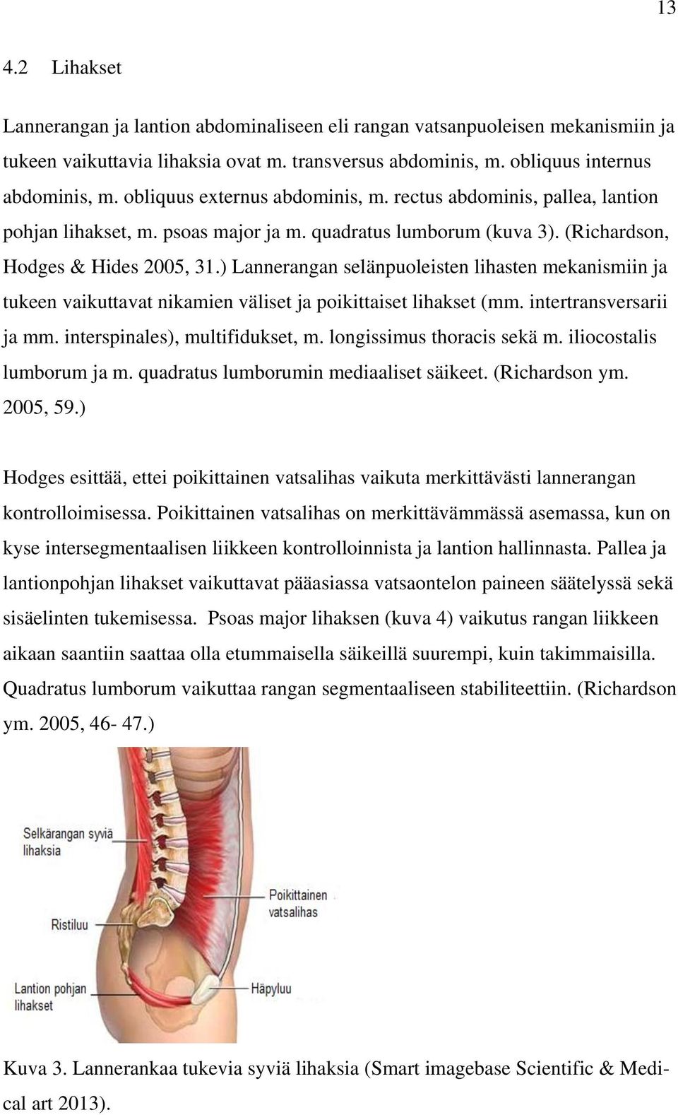 ) Lannerangan selänpuoleisten lihasten mekanismiin ja tukeen vaikuttavat nikamien väliset ja poikittaiset lihakset (mm. intertransversarii ja mm. interspinales), multifidukset, m.