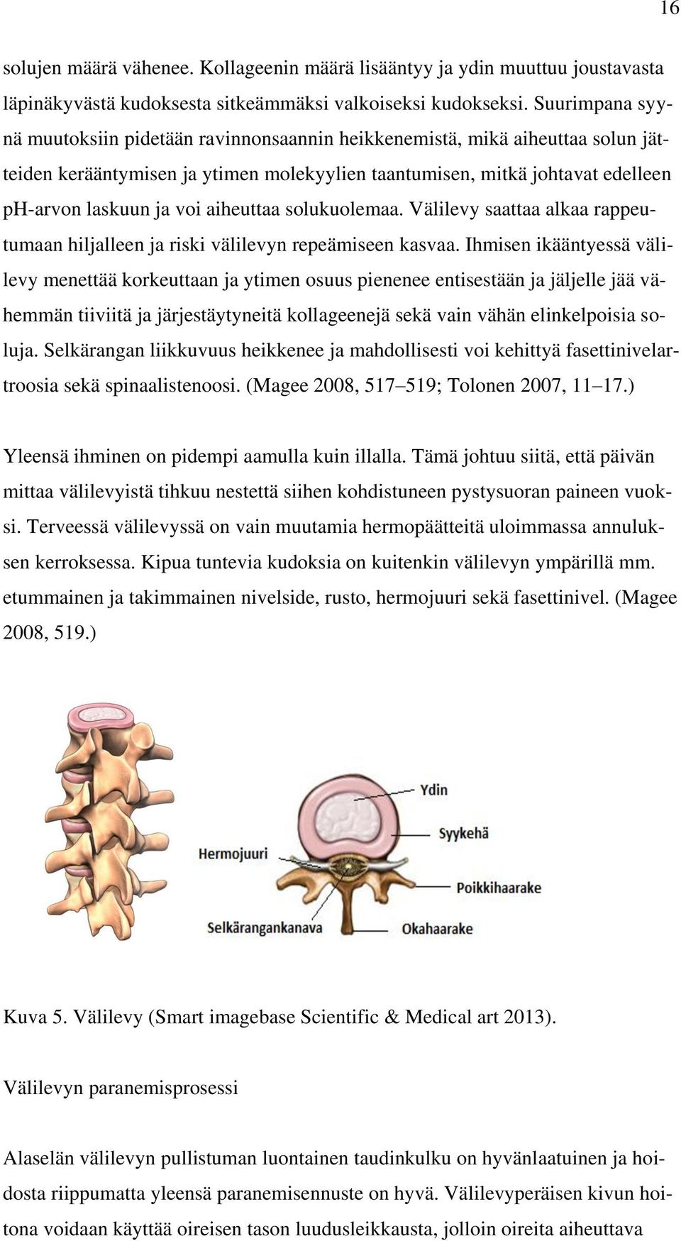aiheuttaa solukuolemaa. Välilevy saattaa alkaa rappeutumaan hiljalleen ja riski välilevyn repeämiseen kasvaa.